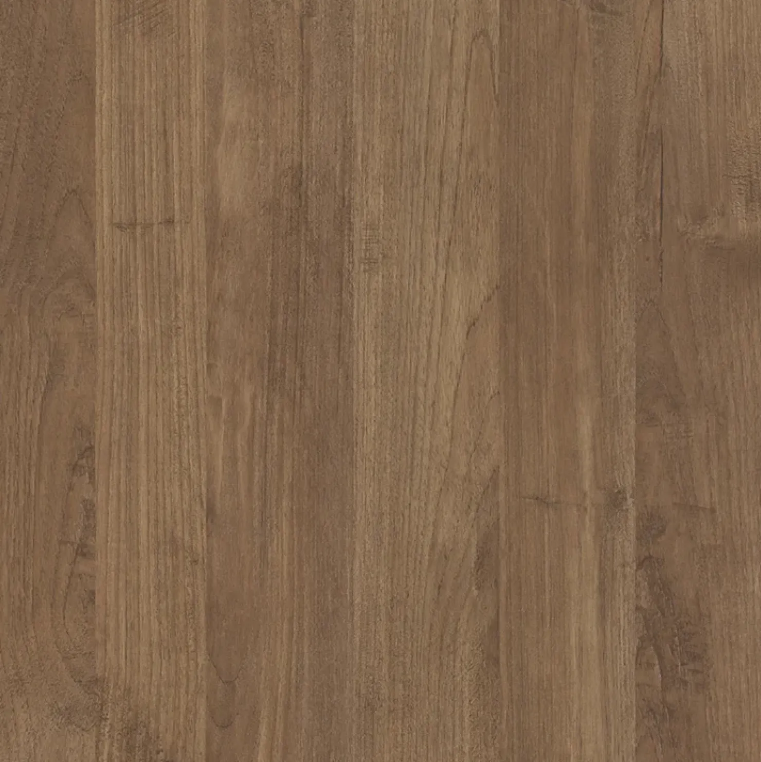 Garnero Arredamenti Armadio soggiorno 120x193h cm 2 ante moderno Alvarez Rovere