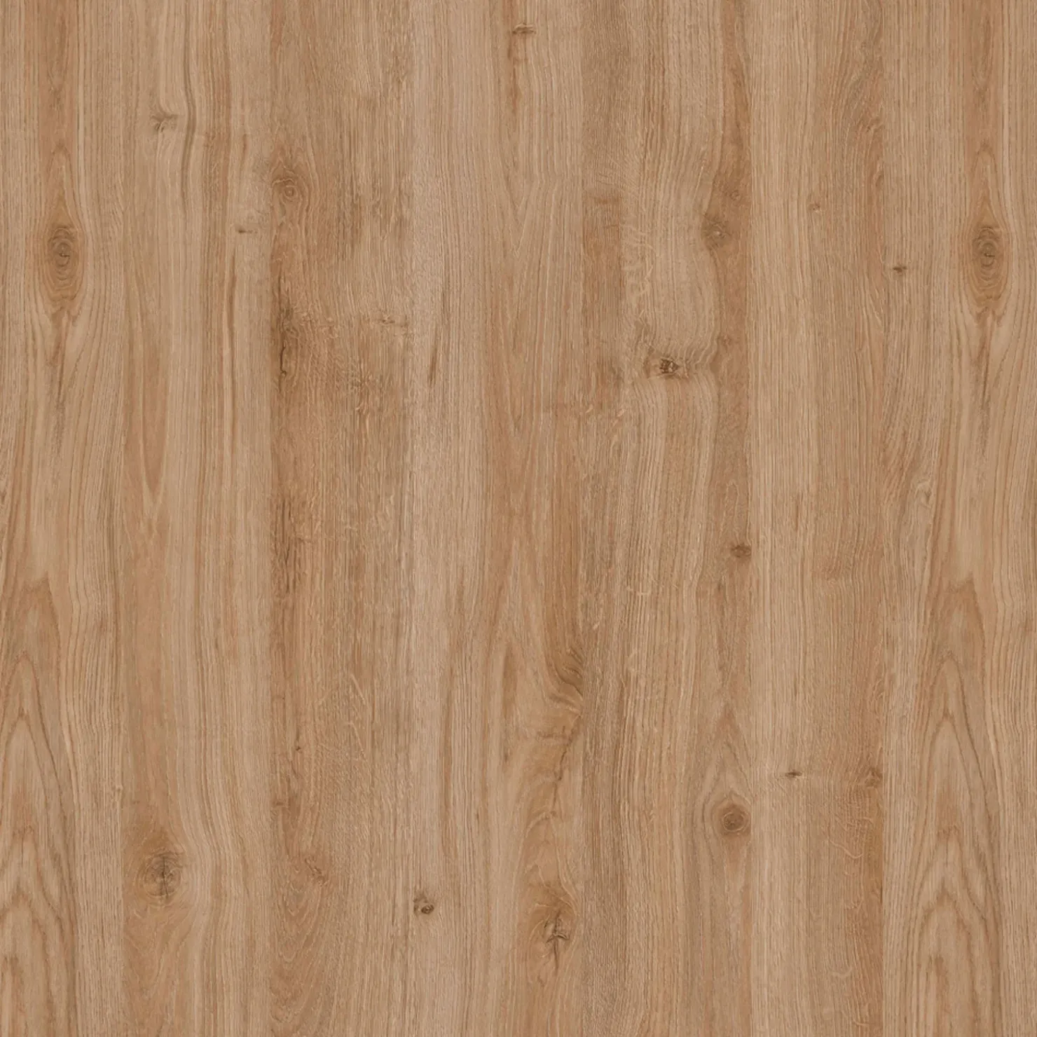 Garnero Arredamenti Cucina 285cm reversibile moderna lineare rovere antracite GourmetSpace Best