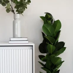 Garnero Arredamenti Madia 193x83h cm 4 ante con led cannettato nero Camelia Bianco Opaco New