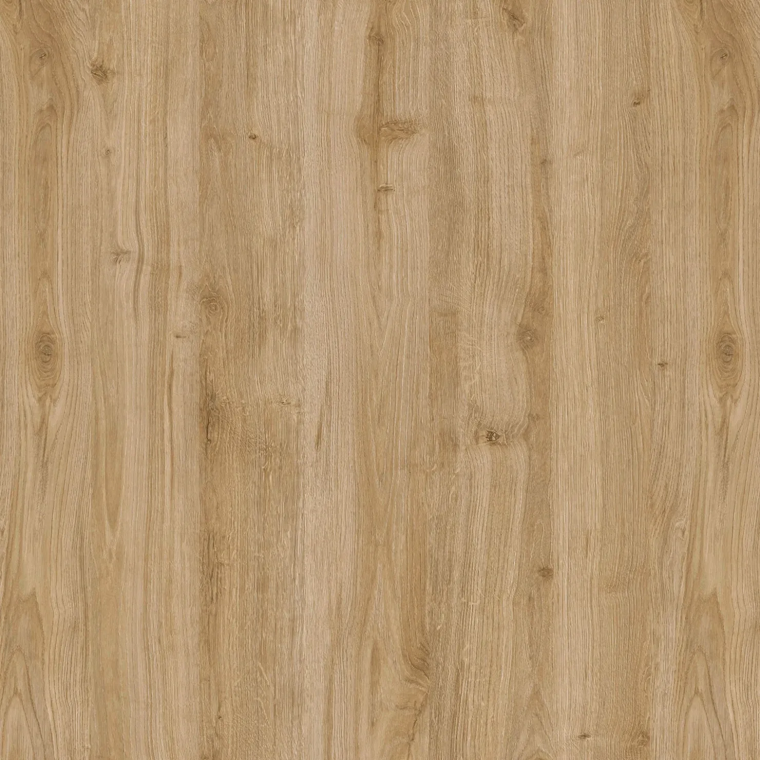 Garnero Arredamenti Mensola 138x19h cm da parete vani a vista chiaro Sunset Rovere Best