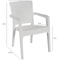 Garnero Arredamenti Sedia da giardino esterno bar dehors con braccioli polipropilene effetto rattan Maddy Bianco Clearance