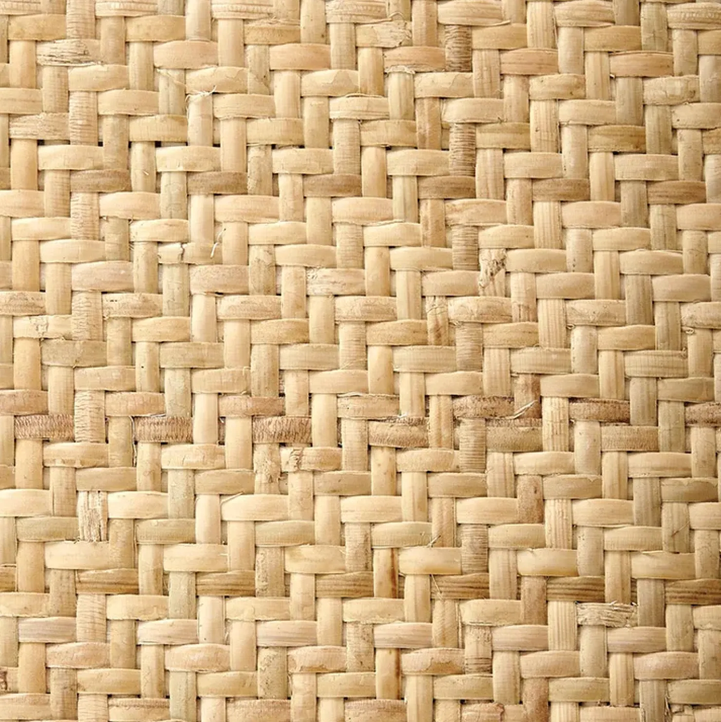 Garnero Arredamenti Set 2 sedie da pranzo in rattan naturale Ivory Online