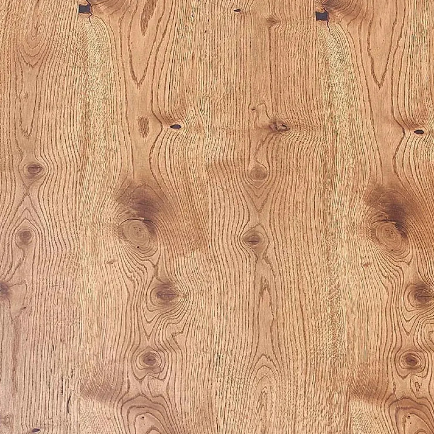 Garnero Arredamenti Tavolo allungabile 160/250cm moderno rovere nodato acciaio nero Briga Best